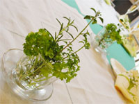 �V�΂̂s�����@�o��������